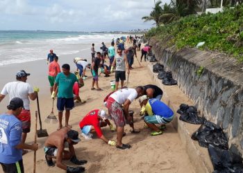 Óleo em Pernambuco: saiba como se tornar voluntário e onde fazer doações