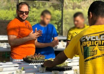 Adolescentes da Funase aprendem sobre aquaponia em curso no IFPE