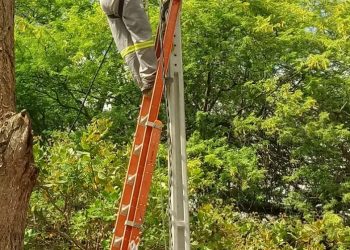 Instalação da iluminação de LED na estrada de acesso à UFPE tem início nessa segunda-feira (28)