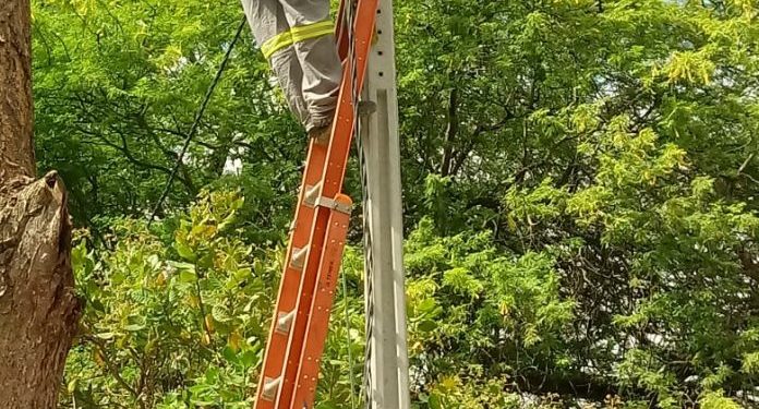 Instalação da iluminação de LED na estrada de acesso à UFPE tem início nessa segunda-feira (28)