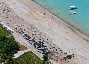 Mapa define defesos adicionais em áreas atingidas por óleo no Nordeste