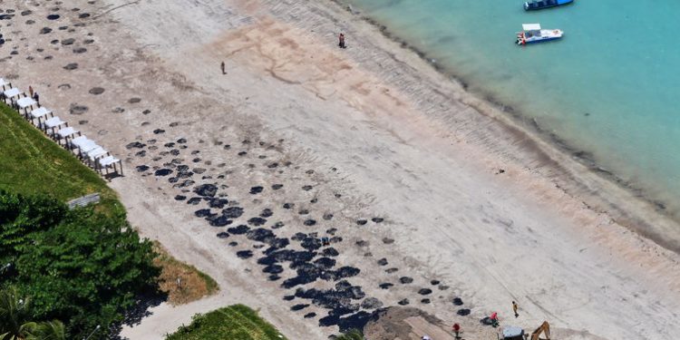 Mapa define defesos adicionais em áreas atingidas por óleo no Nordeste