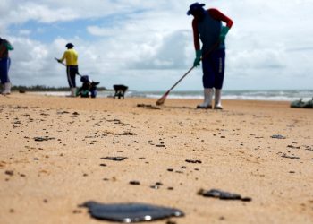 Mais de 525 toneladas de resíduos foram retiradas de praias com óleo