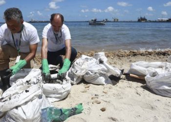 Cerca de 489 toneladas de óleo já foram retiradas de praias de PE