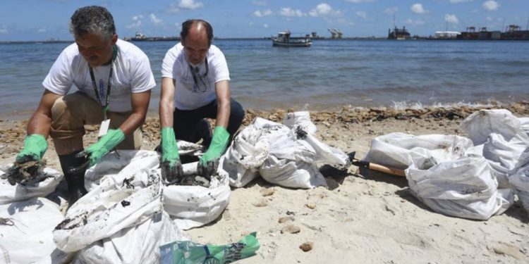 Cerca de 489 toneladas de óleo já foram retiradas de praias de PE