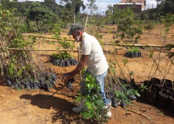 Parque Natural Professor João Vasconcelos Sobrinho recebe cumpridores de penas alternativas
