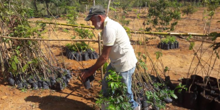 Parque Natural Professor João Vasconcelos Sobrinho recebe cumpridores de penas alternativas