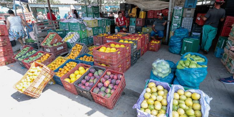 Ceaca divulga a cotação com redução de preço em 24 itens desta semana