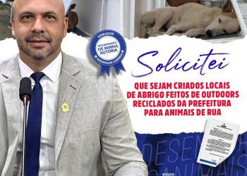 Anderson Correia pede criação de locais de abrigo feitos de outdoors reciclados da prefeitura para animais de rua