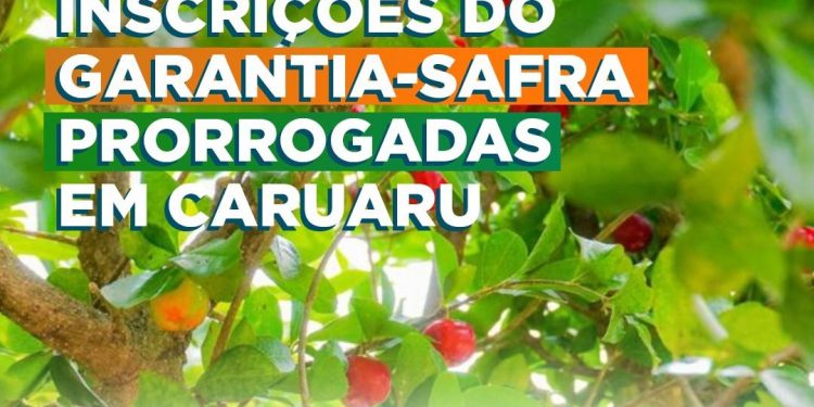 Inscrições do Garantia-Safra seguem até a próxima quinta-feira (09)