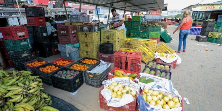 Cotação da CEACA analisa 72 itens nesta semana