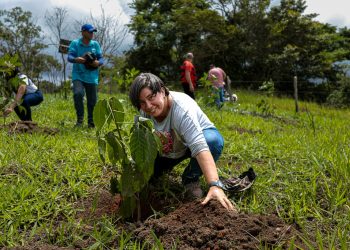 Prefeitura de Caruaru celebra Dia Internacional da Floresta com plantio de 120 árvores no Parque Natural Municipal Professor João Vasconcelos Sobrinho