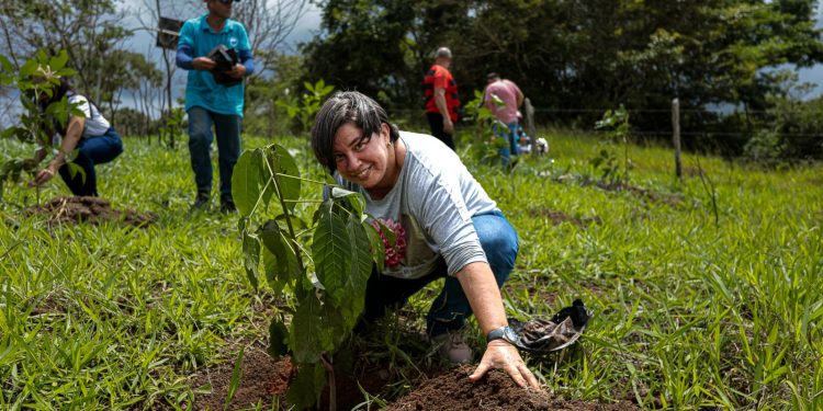 Prefeitura de Caruaru celebra Dia Internacional da Floresta com plantio de 120 árvores no Parque Natural Municipal Professor João Vasconcelos Sobrinho