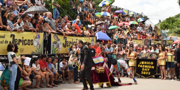 Festival Nacional de Jericos de Panelas acontece neste final de semana e tem 60 mil em prêmios