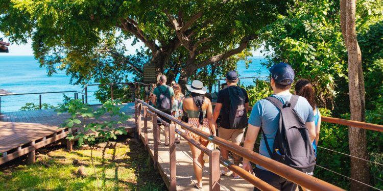 Quer conhecer Fernando de Noronha?
