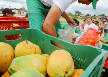 “Ceaca Alimenta” ajuda moradores da comunidade da Vila do Aeroporto com entregas de alimentos