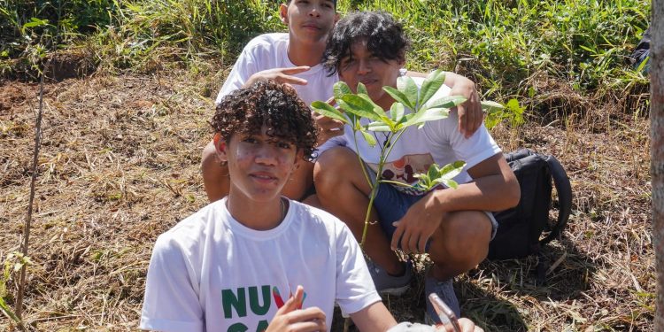 Núcleo de Cidadania de Adolescentes promove ação de reflorestamento em Serra dos Cavalos