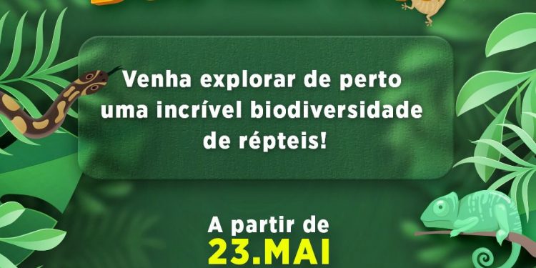 Exposição Refúgio dos Répteis no Caruaru Shopping