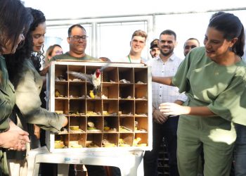 Em Bezerros, governadora Raquel Lyra entrega quinto Parque Ambiental Janelas para o Rio