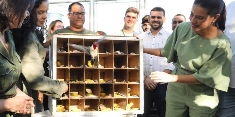 Em Bezerros, governadora Raquel Lyra entrega quinto Parque Ambiental Janelas para o Rio