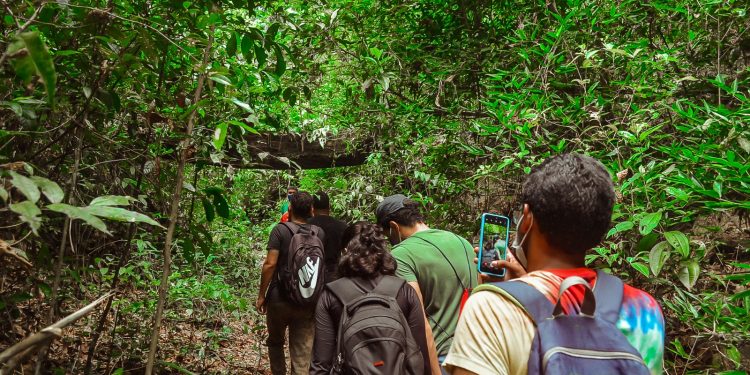Parque Dois Irmãos comemora o Dia Mundial do Meio Ambiente com semana de programação especial