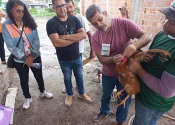 Agricultores do primeiro distrito participam de curso de Manejo e Produção de Aves