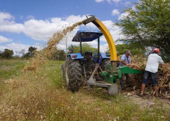 Caruaru é a primeira cidade em Pernambuco que adquiriu o registro no Renagro