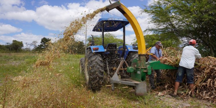 Caruaru é a primeira cidade em Pernambuco que adquiriu o registro no Renagro