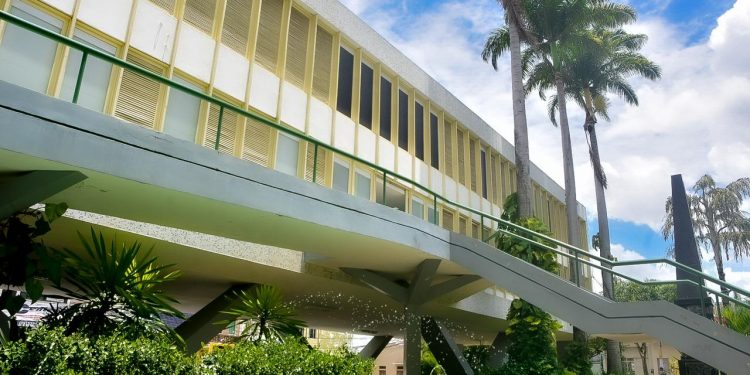 Feira de flores da Ceaca vai funcionar até dia dois de novembro