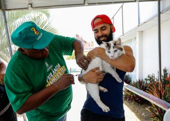 Prefeitura de Caruaru inicia campanha de vacinação antirrábica