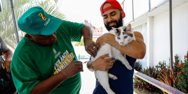 Prefeitura de Caruaru inicia campanha de vacinação antirrábica