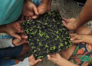 COP 28: Governo de Pernambuco coloca no ar hotsite do PerMeie, o Plano Pernambucano de Mudança Econômico-Ecológica