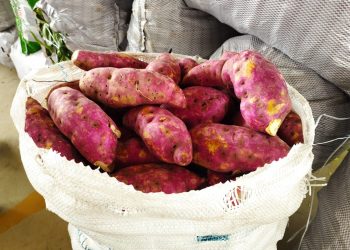 Ceaca: cotação apresenta dez produtos com quedas nos preços