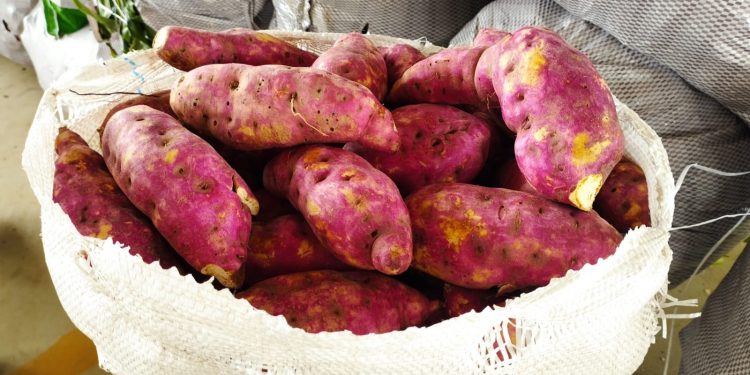 Ceaca: cotação apresenta dez produtos com quedas nos preços