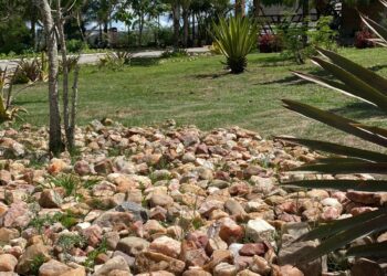 Amor pela natureza será promovido em Parques Ambientais de Caruaru