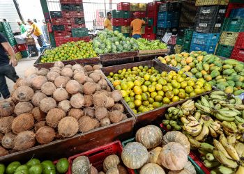 Ceaca: cotação apresenta queda nos preços de 32 produtos