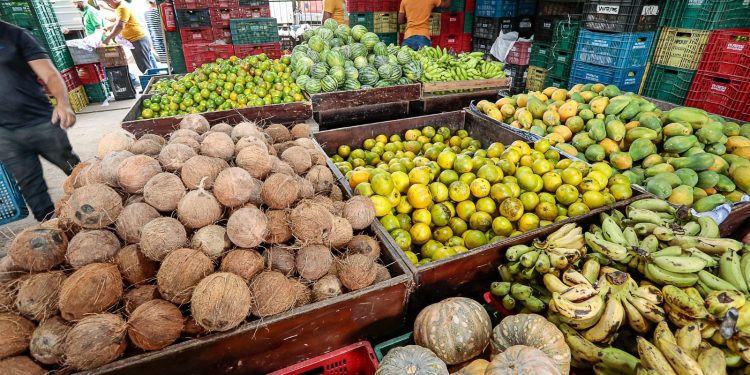 Ceaca: cotação apresenta queda nos preços de 32 produtos