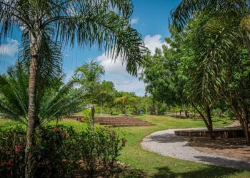 Diversão gratuita e cuidados com a natureza serão promovidos no Parque Severino Montenegro nesta quinta (18)