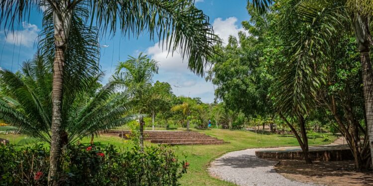 Diversão gratuita e cuidados com a natureza serão promovidos no Parque Severino Montenegro nesta quinta (18)