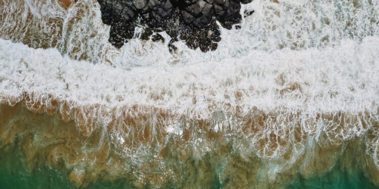 Memorial Noronhense recebe exposição fotográfica “Fragmentos Oceânicos”