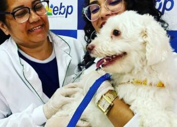 Vacinação antirrábica gratuita e adoção de cães e gatos serão realizadas, nesta quinta-feira (22), em Caruaru