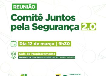 Reunião do Comitê Juntos pela Segurança 2.0