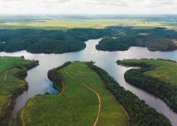 Governo de Pernambuco inicia programação da Semana da Água
