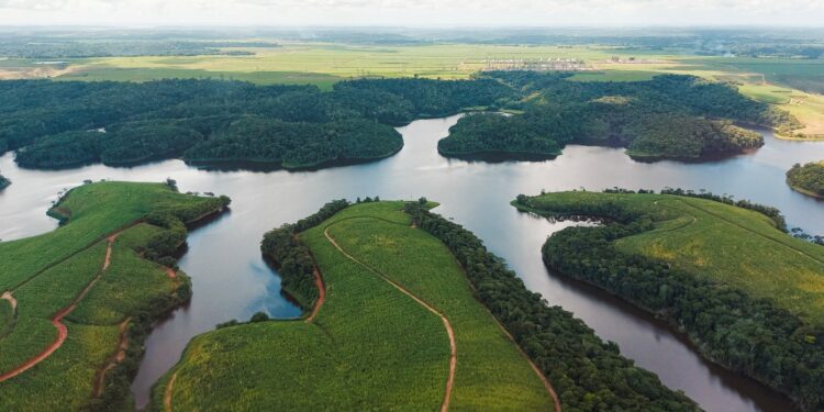 Governo de Pernambuco inicia programação da Semana da Água