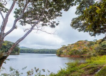Prefeitura de Caruaru realiza evento alusivo ao dia Internacional da Floresta no Parque Natural Municipal Professor João Vasconcelos Sobrinho