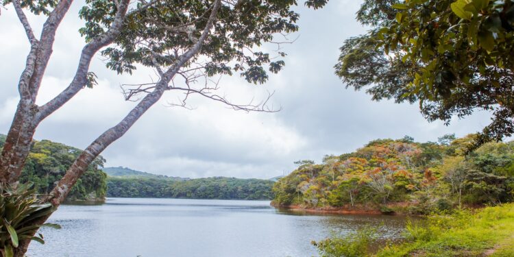 Prefeitura de Caruaru realiza evento alusivo ao dia Internacional da Floresta no Parque Natural Municipal Professor João Vasconcelos Sobrinho