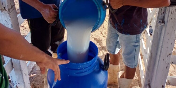 Governo Raquel Lyra publica decreto com benefícios fiscais para a Bacia Leiteira do Estado