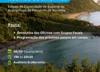 Reunião sobre Estudo de Capacidade de Suporte de Noronha vai acontecer esta semana na ilha