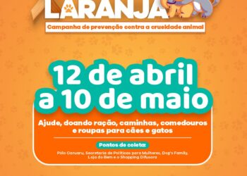 Transforma Caruaru informa: Campanha de prevenção contra a crueldade animal encerra nesta sexta-feira (10)