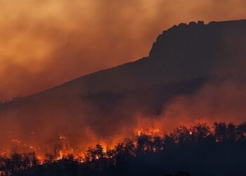 Com aumento de áreas queimadas no Brasil em 2024, crianças clamam: “Salve o planeta” e “Cuida da Terra”